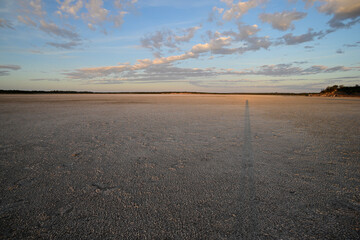 Desert environment landcape, La Pampa province, Patagonia, Argentina.