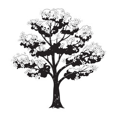 Silhouette of a Leafy Tree with Branching Canopy in Black and White.