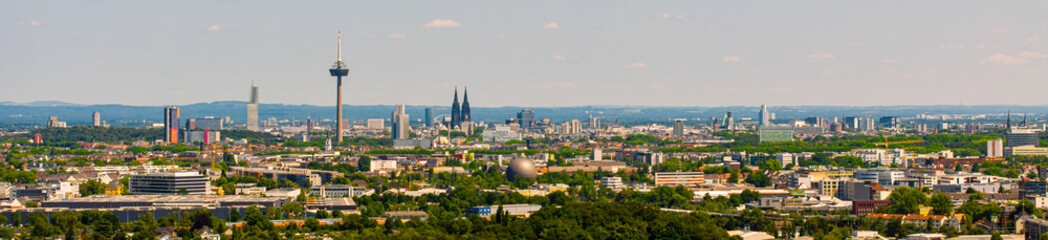 Fototapeta premium cologne germany cityscape in summer