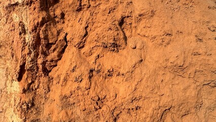 Rough yellow soil and clay texture natural eroded surface abstract earth background geology detail macro photography on white background
