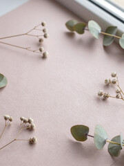 Misty Rose Recycled Paper with Dried Statice and Eucalyptus &ndash; Eco Valentine Background