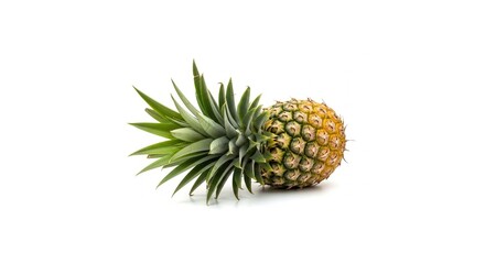 Fototapeta premium pineapple on white background