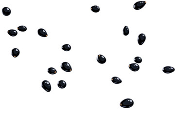 Ilustra&ccedil;&atilde;o de Abacates 2