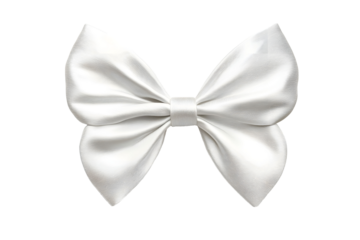 White butterfly tie isolated on white background