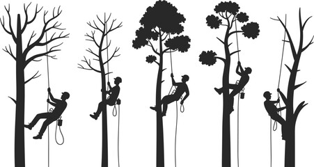 Tree climbing silhouette set, rope and harness techniques across varied foliage, arborist and outdoor activity icons, flat vector illustration © Creative_design
