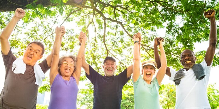 Diverse group of seniors outdoors, smiling and holding hands. Elderly men and women, joyful and active, enjoying nature and friendship under a tree. Cheerful senior diverse people at the park.