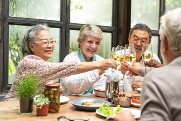 Group of senior adults enjoy meal, toasting with wine. Diverse group of senior friends share joyful...