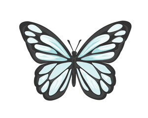 blue butterfly monarch design vector