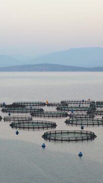 aegean, aquaculture, aquafarm, aquatic, bay, boat, breeding, cage, cages, catch, circle, commercial, corfu, cultivation, dorado, environment, europe, farm, farming, fish, fish farming, fish farms, fis