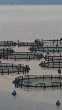 aegean, aquaculture, aquafarm, aquatic, bay, boat, breeding, cage, cages, catch, circle, commercial, corfu, cultivation, dorado, environment, europe, farm, farming, fish, fish farming, fish farms, fis
