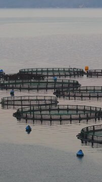 aegean, aquaculture, aquafarm, aquatic, bay, boat, breeding, cage, cages, catch, circle, commercial, corfu, cultivation, dorado, environment, europe, farm, farming, fish, fish farming, fish farms, fis