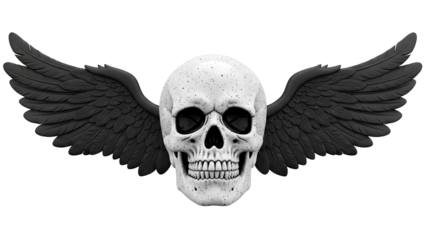 Winged Skull with Black Feathers