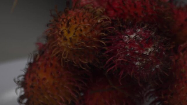Close-up of fresh red rambutan fruits bunch on a rotating plate. This tropical exotic fruit from South East Asia is known for its hairy skin and sweet white flesh. High-quality organic harvest, perfec