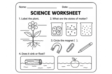 Elementary science worksheet for school education learning
