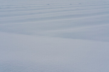 雪に覆われた畑