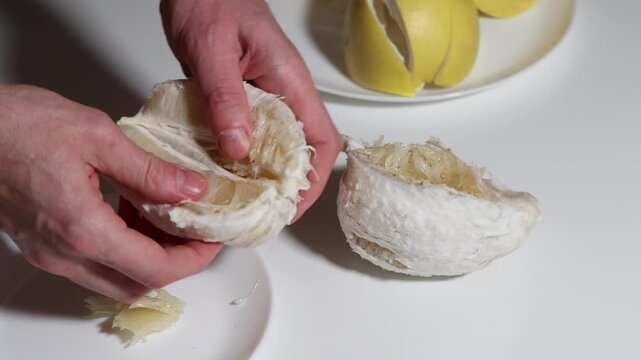 A person carefully peeling and segmenting a fresh pomelo fruit on a white table, showcasing the juicy segments, preparing for a healthy snack, with peeled slices nearby.