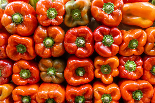 Una gran cantidad de pimientos morr&oacute;n rojos est&aacute;n ordenados uno encima de otro. 
