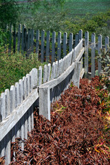 weathered wooden garden fence