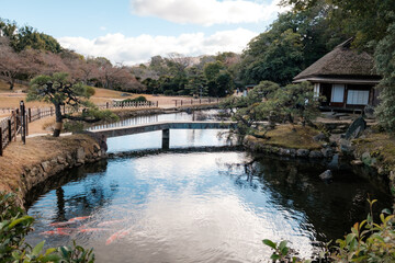 Fototapeta premium Korakuen in Okayama, Japan. It is a traditional Japanese Garden. It is one of the Three Great Gardens of Japan built in 1700s