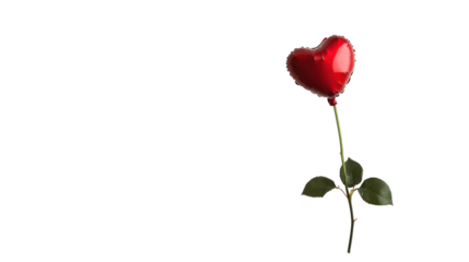 Romantic valentine's day heart-shaped rose on transparent background