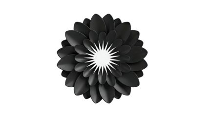 Abstract Black Flower with White Center