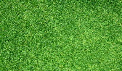 Fototapeta premium Green grass background