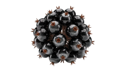 Blackberries with Glitter