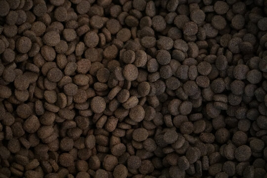 Full frame close-up texture of dark brown dry pet food kibble pellets for background use in animal nutrition and retail themes
