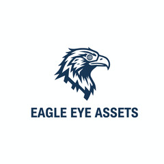 Professional eagle head illustration with eye detail for financial investment or asset management services branding Eagle Eye Assets.