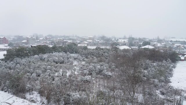 Winter Countryside Town Landscape with Snow-Covered Trees