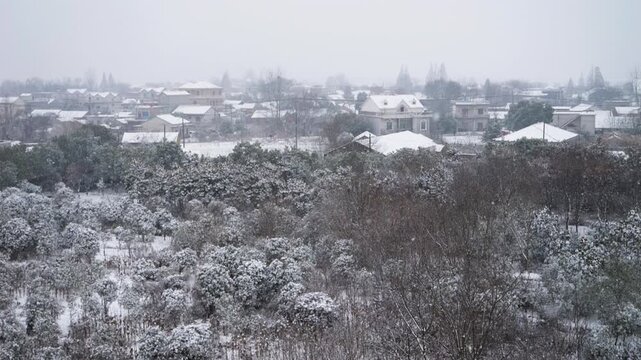 Winter Countryside Snow Landscape with Frost-Covered Plants and Village