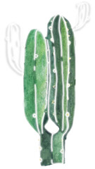 White neon cactus phone background transparent png