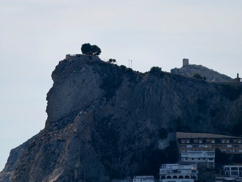 chain of layered buildings on steep cliffs featuring solitary tree and historic ramparts