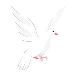 Obraz premium White bird png sticker, cute illustration, transparent background