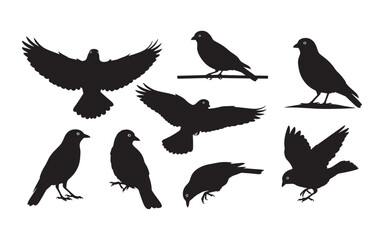 Obraz premium Vector collection of wild bird silhouettes featuring a black illustration set of flying animals like eagles and ducks in nature