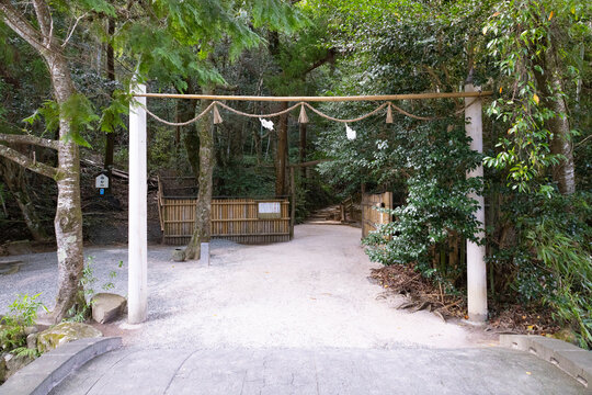 八重垣神社　佐久佐女の森