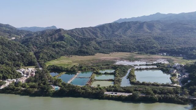 Jan 3 2026 Luk Keng Fish Pond: Tranquil Nature and Wildlife Spot