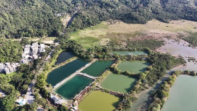 Jan 3 2026 Luk Keng Fish Pond: Tranquil Nature and Wildlife Spot