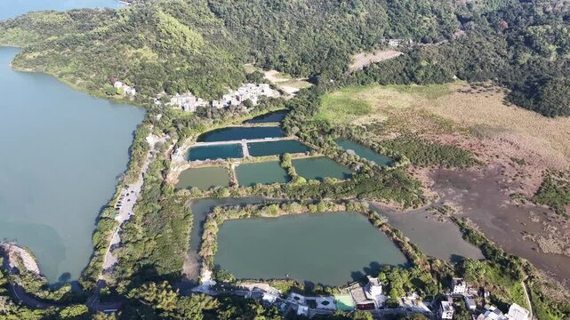 Jan 3 2026 Luk Keng Fish Pond: Tranquil Nature and Wildlife Spot