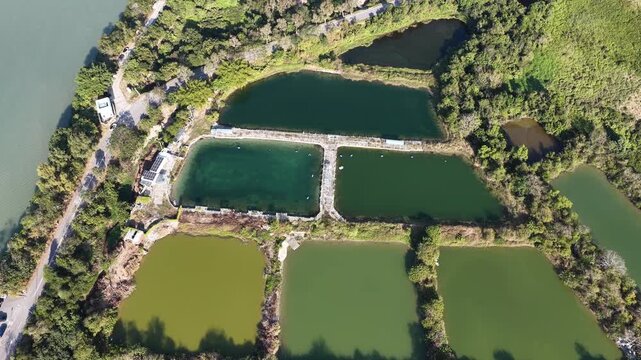 Jan 3 2026 Luk Keng Fish Pond: Tranquil Nature and Wildlife Spot