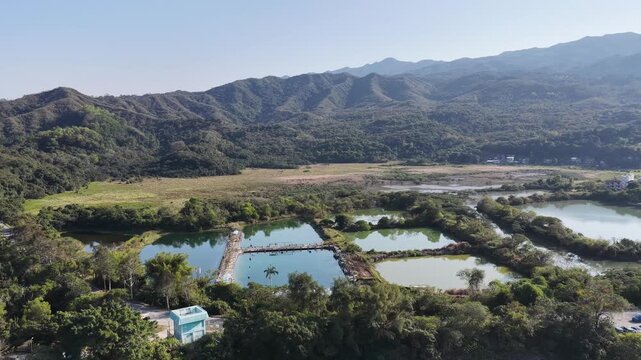 Jan 3 2026 Luk Keng Fish Pond: Tranquil Nature and Wildlife Spot