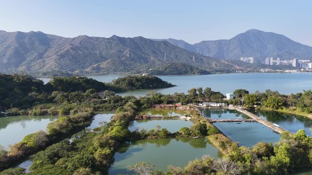Jan 3 2026 Luk Keng Fish Pond: Tranquil Nature and Wildlife Spot
