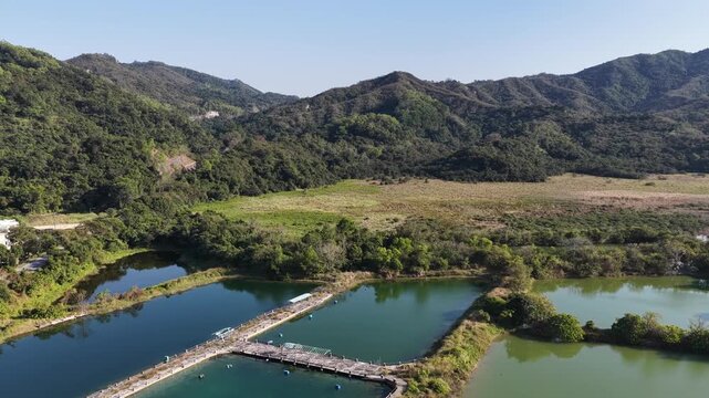Jan 3 2026 Luk Keng Fish Pond: Tranquil Nature and Wildlife Spot
