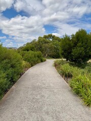 Fototapeta premium A curved concrete walking path winding through a landscaped park surrounded by lush green shrubs and trees under a bright blue sky with soft white clouds. 
