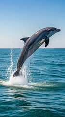 Fototapeta premium Beautiful Aquatic Wildlife Scene with Dolphins and Sea Spray