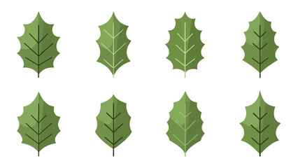 Green Holly Leaves Pattern Set