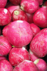 Fresh radishes at a local market in spring season
