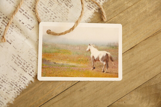 4245  Horse notecard on a wood desktop. The printed notecard is my photography printed.