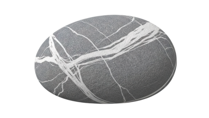 Grey Pebble with White Veins