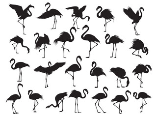 Vector set shows of flamingo silhouettes in different poses, designed as clean solid black shapes suitable for illustration use.